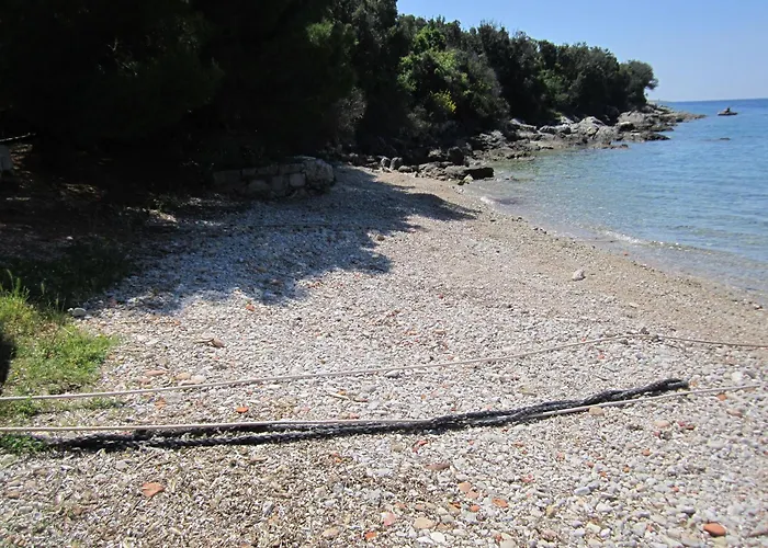 Lumanera Apartament *